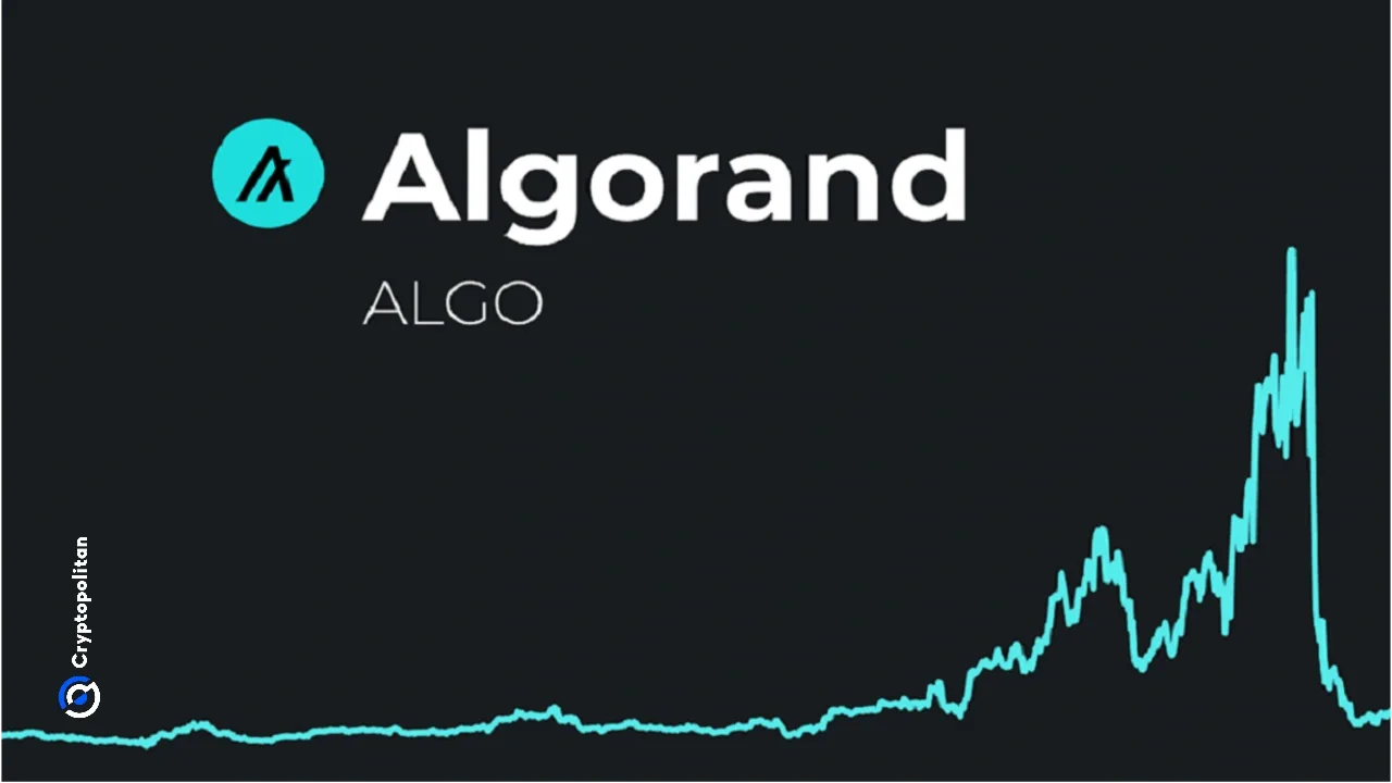 Algorand Fiyat Tahmini 2025-2031: Yeniden Doğuş Mümkün mü?