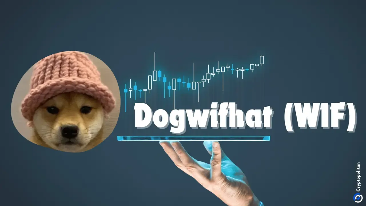 Dogwifhat (WIF) Fiyat Tahmini: 2025-2031 Dönemi
