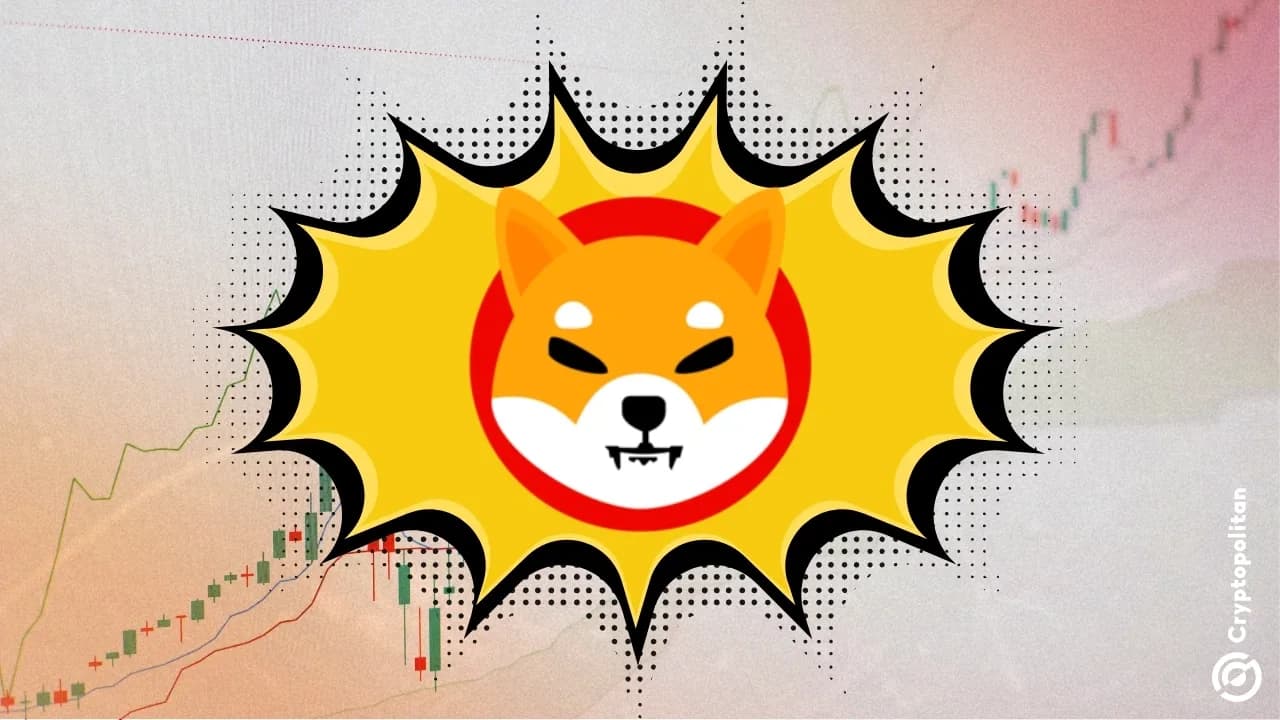 Shiba Inu (SHIB) Fiyat Tahmini: 2025-2031 Dönemi