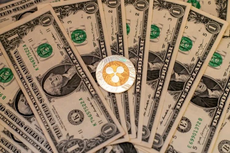 XRP Nedir? Uzman Açıklıyor