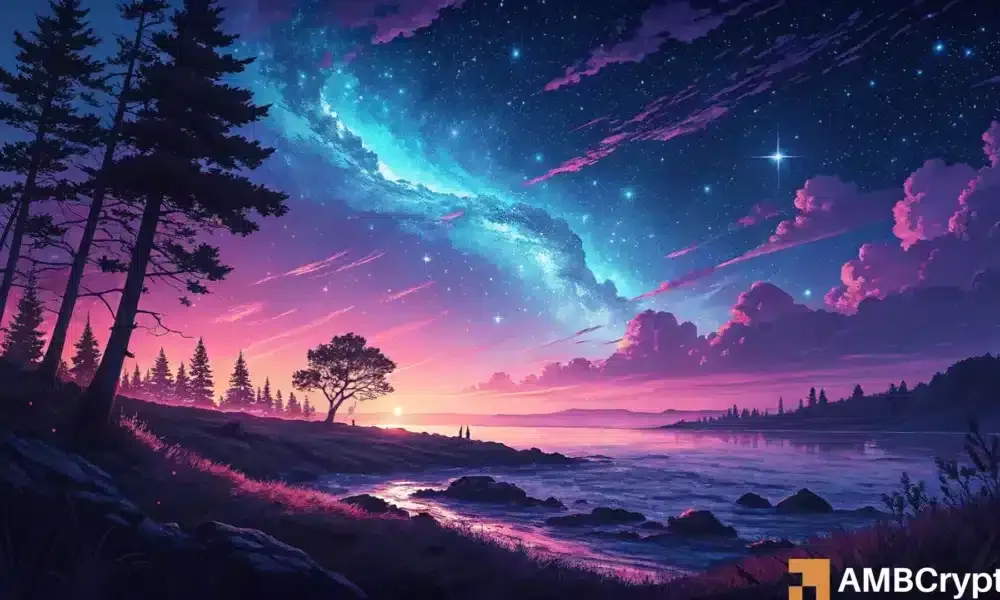 Midnight (NIGHT) Fiyatındaki Artışın Sebepleri