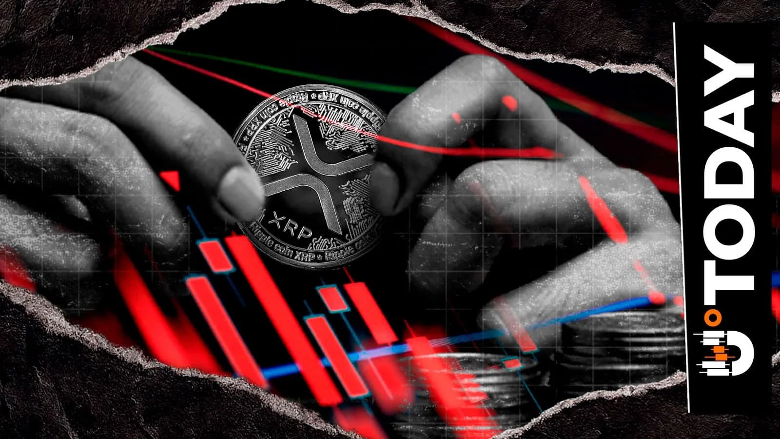 Dünyanın En Yüksek IQ'lu Kişisinin XRP Tahmini Hatalı Çıktı