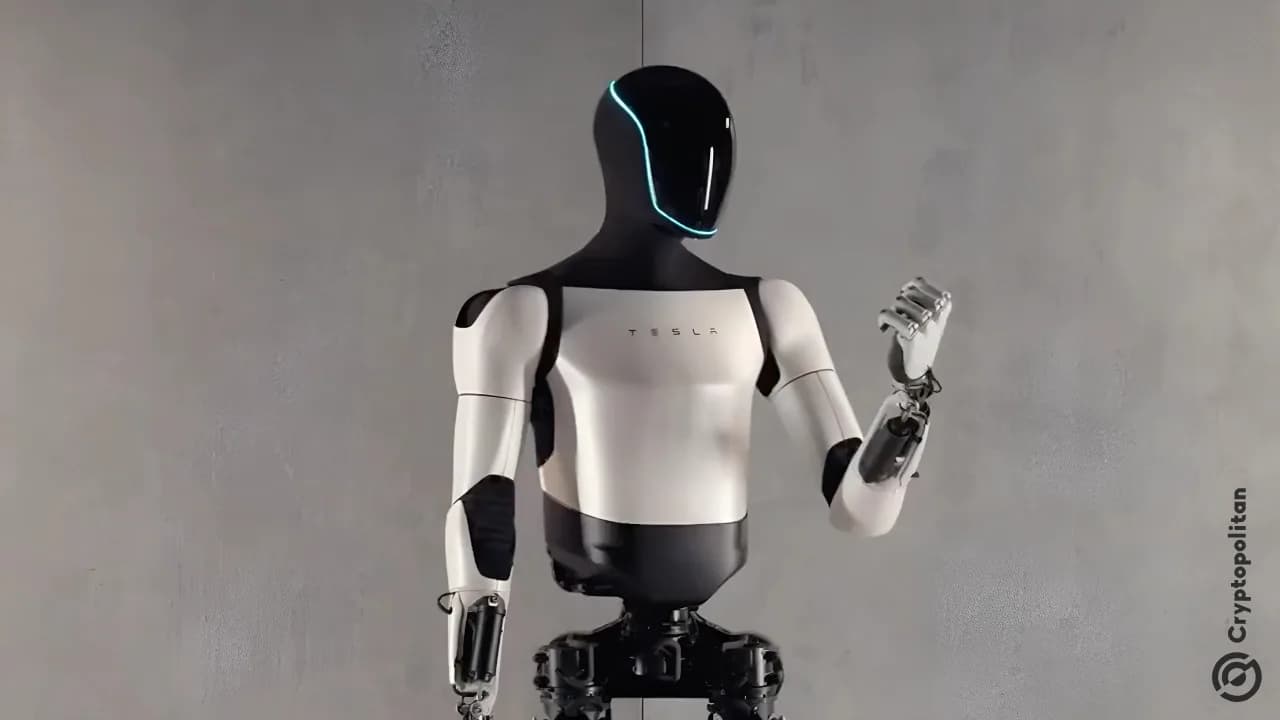 Elon Musk'ın Optimus Robotu: Gerçekten Ne Kadar Yakın?