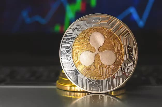 XRP'nin Efsanevi Yükselişi: Önümüzdeki 3 Ay Neler Bekleniyor?