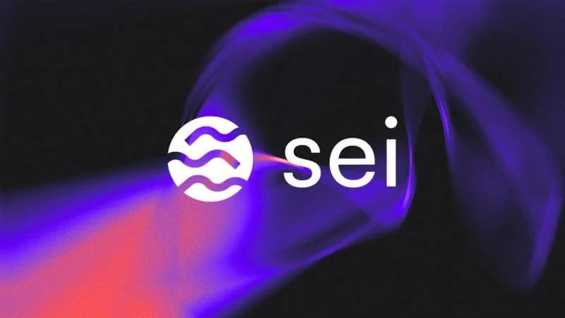 Sei Ağı, USDC.n Token Sahiplerini Uyarıyor