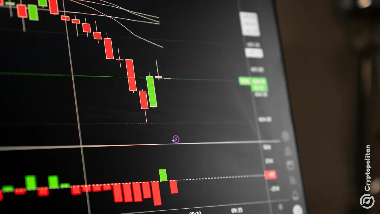 BingX, Çoklu Varlık Ticaretine Adım Attı