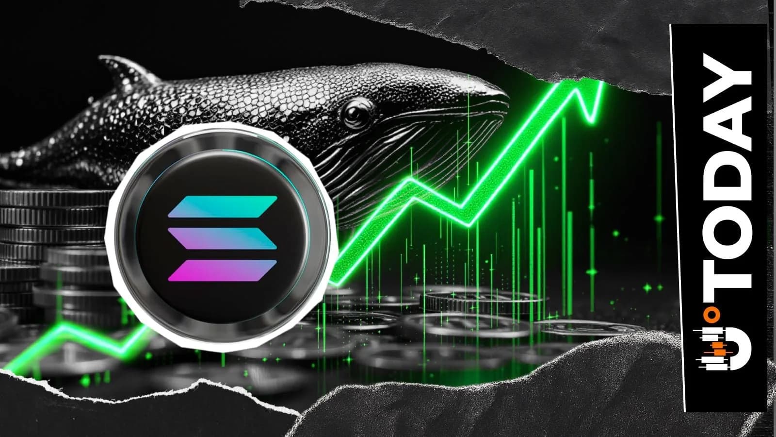 Dormant Solana Balinası Uyanıyor: 80,000 SOL Taşındı