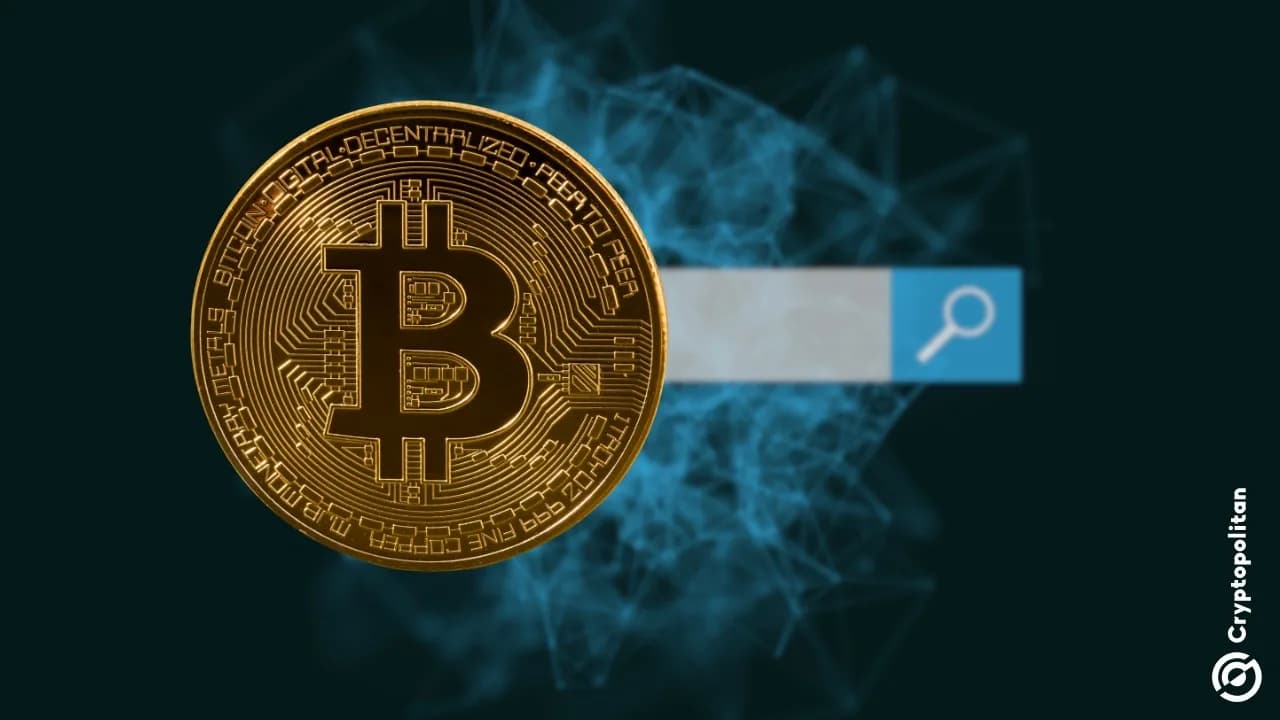 Bitcoin Arama İlgi Oranı 2025'te %50 Düştü