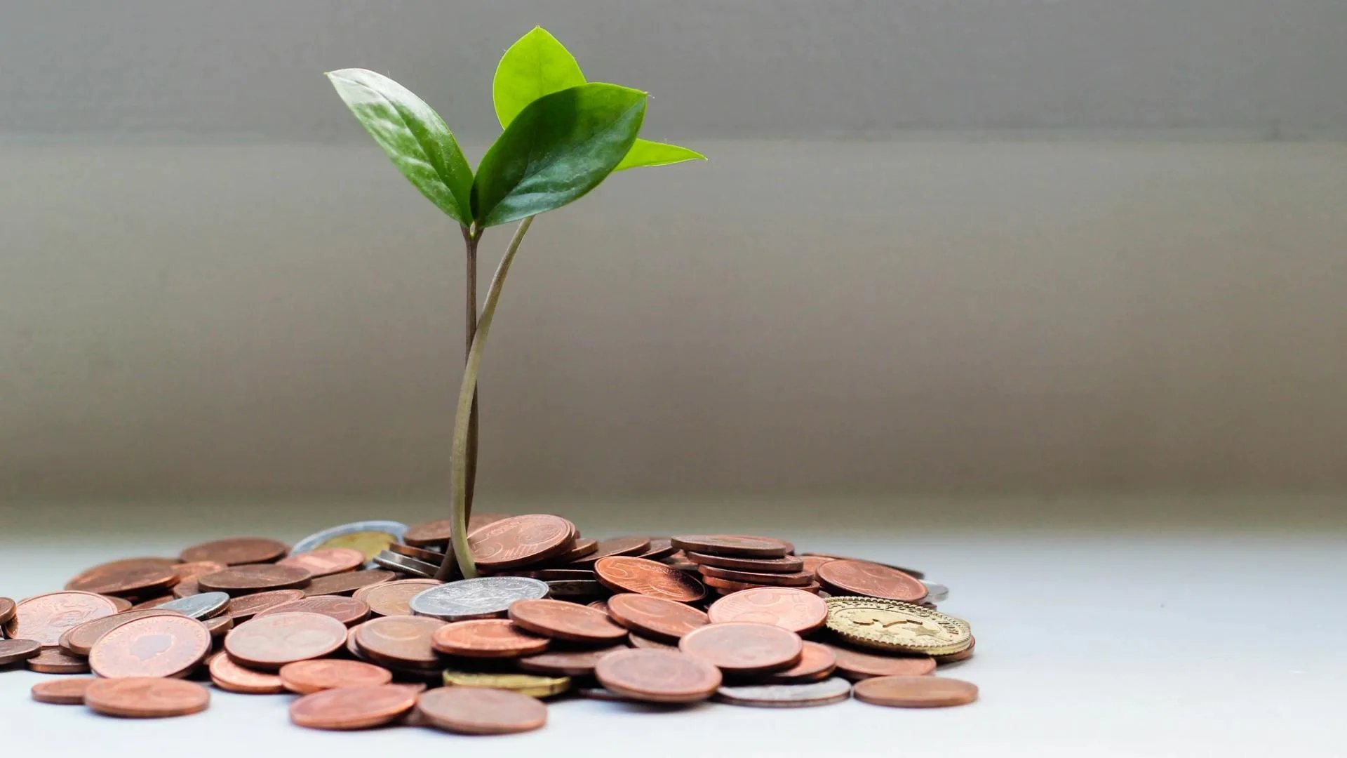 Optimism Topluluğu OP Token Geri Alımını Oylamaya Başladı