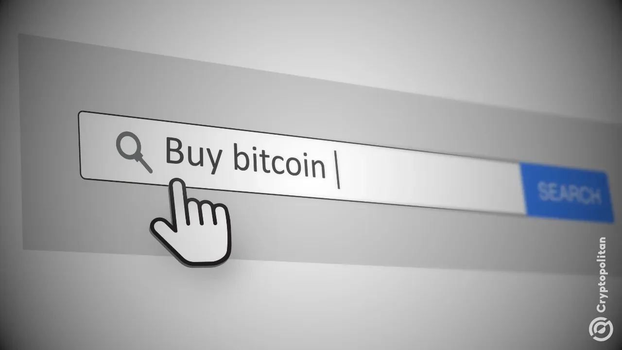 Yandex'in Kripto Kullanıcıları İçin En Popüler Aramaları