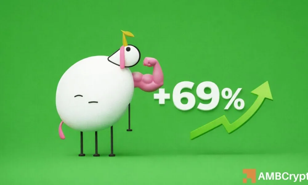 PIPPIN Memecoinde %69'luk Artışla Öne Çıkıyor