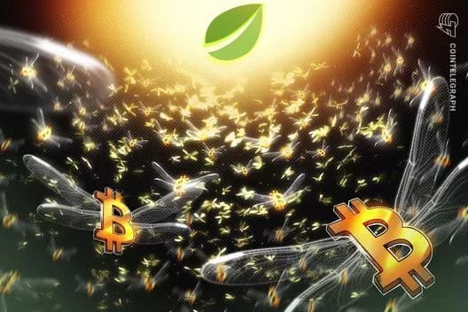 Bitfinex Bitcoin Uzun Pozisyonları 2 Yılın Zirvesinde: 100K Rallysi Mümkün Mü?