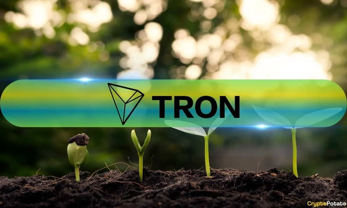 Tron Ağı 2025'te Nasıl Performans Gösterdi? Analizler ve Gelişmeler