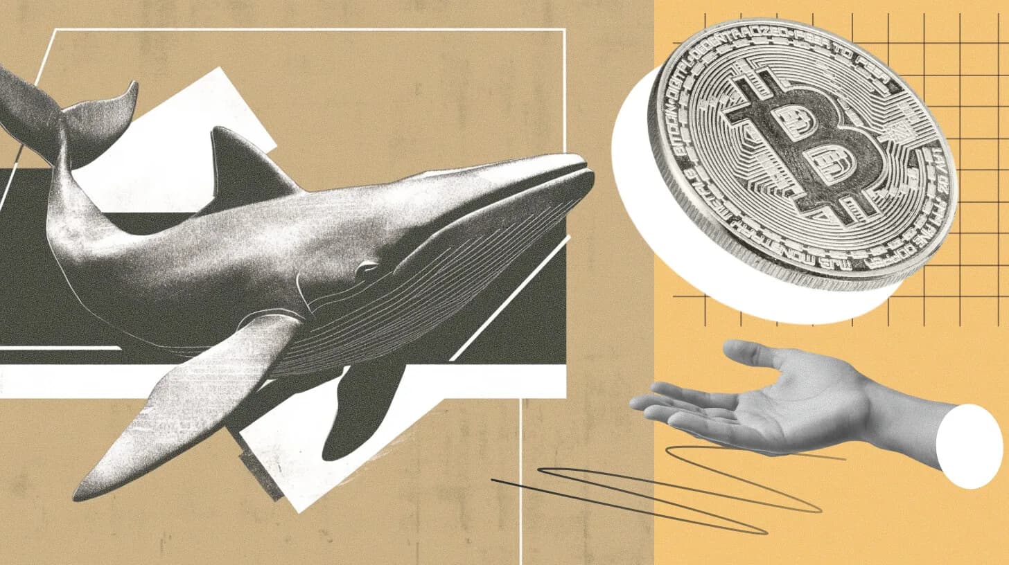 Bitcoin'daki Büyük Düşüşler Yatırımcıların Düşüncelerini Değiştiriyor