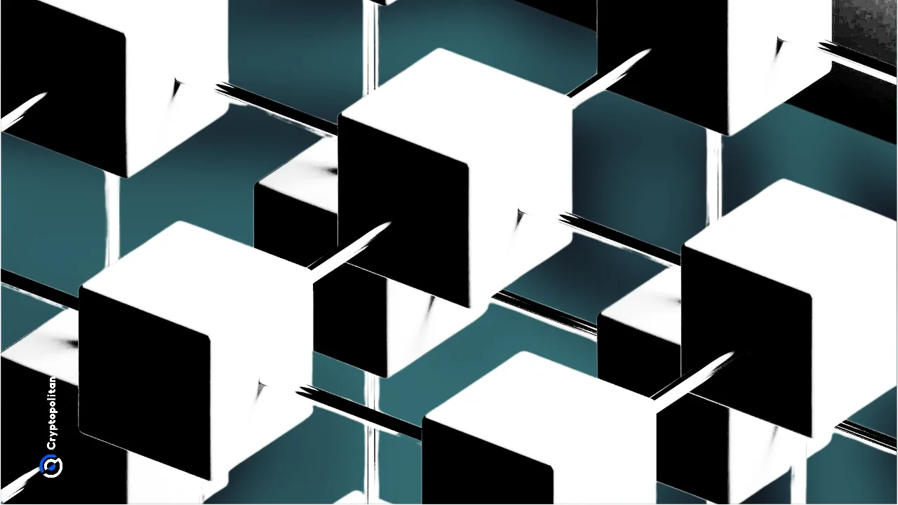 Arweave Ağı, 24 Saatlik Duraklama İddalarını Reddetti