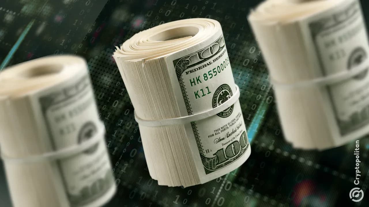 Kripto Dünyasında 300 Milyon Dolar Yatırım Haftası