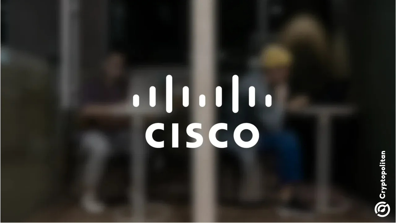 Cisco Hisseleri Neden %10'dan Fazla Düştü?