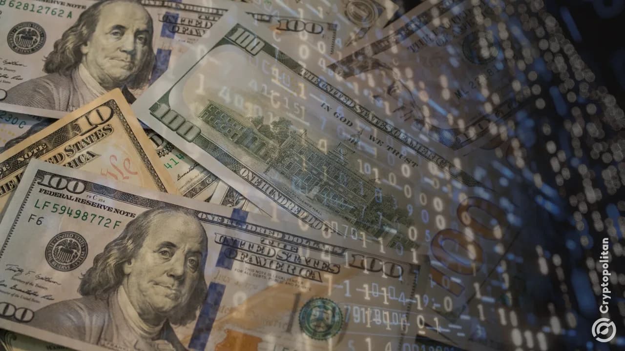 HIVE, BUZZ ile AI Bulut Sözleşmelerinde 30 Milyon Dolar Kazandı