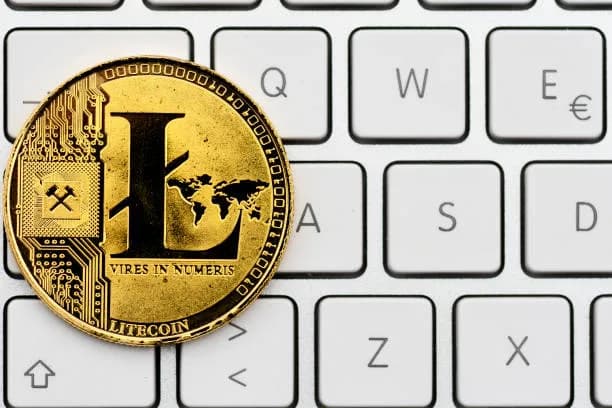 Litecoin'de Yükseliş Sinyalleri: $57 Direnci Aşılabilir Mi?